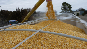 На мировых биржах снизились цены контрактов на зерно